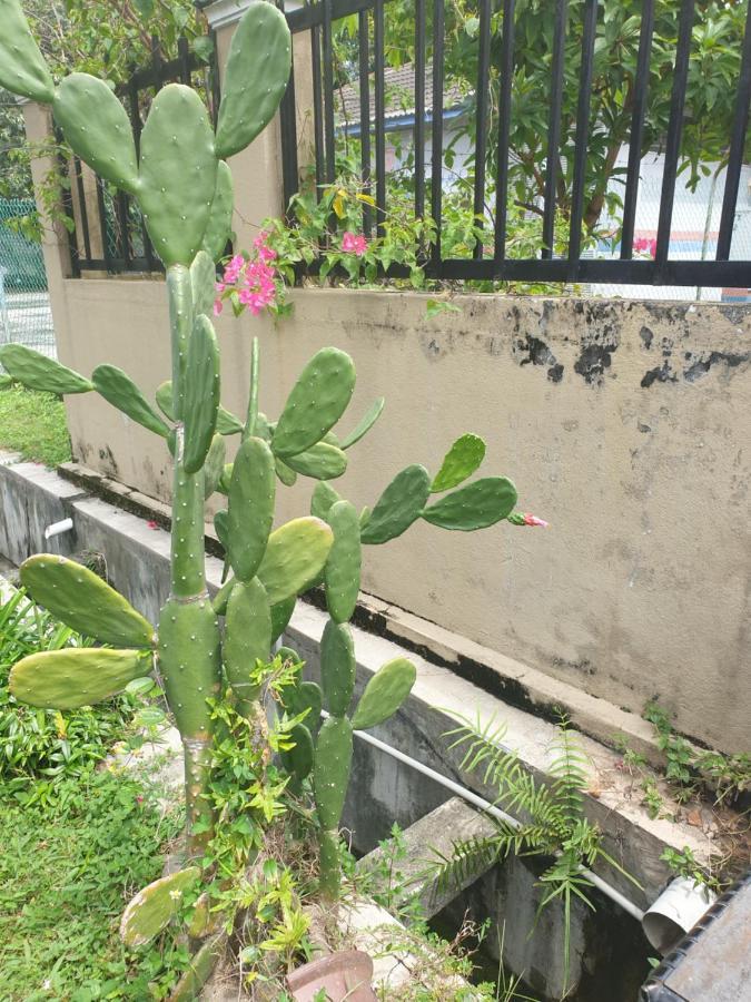 Lavender Impian Homestay 加影 外观 照片